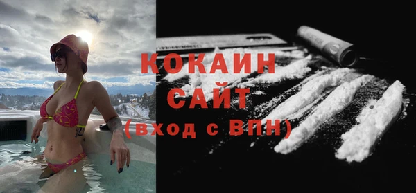 мдпв Богородицк