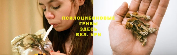 мдма Богданович