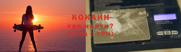 мдпв Богородицк