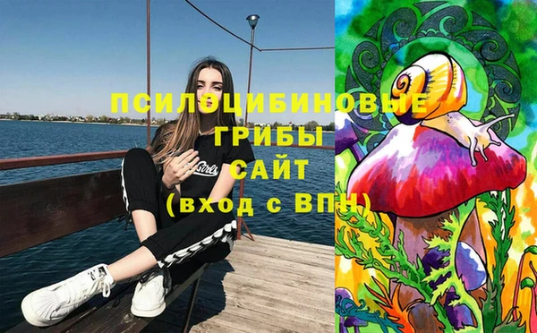 прущая мука Верхний Тагил