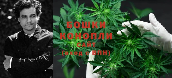 мдпв Богородицк