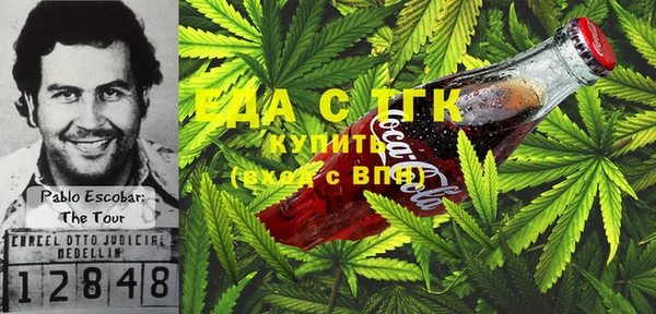 мдпв Богородицк